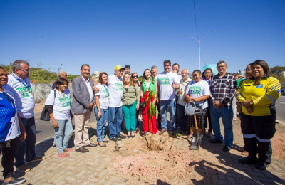 Dr. Pessoa participa de plantio de mudas de árvores na avenida Ferroviária